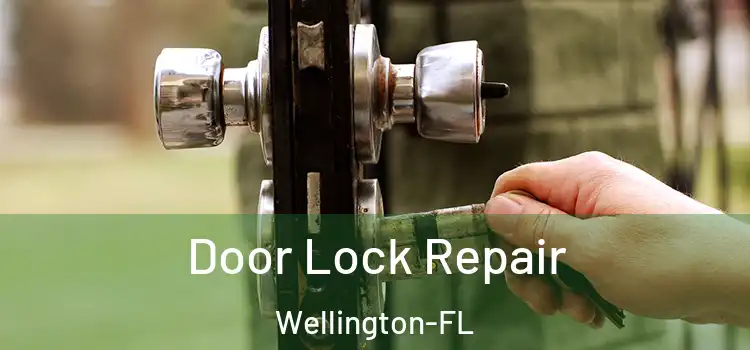  Door Lock Repair Wellington-FL