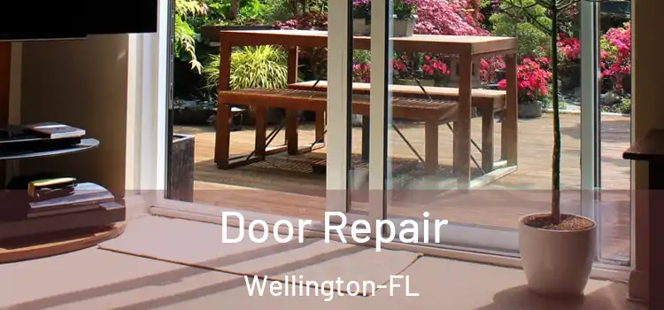  Door Repair Wellington-FL