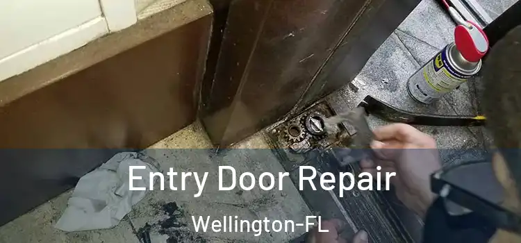  Entry Door Repair Wellington-FL
