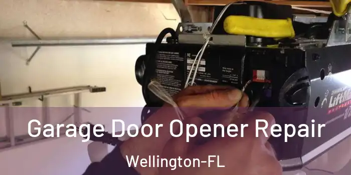 Garage Door Opener Repair Wellington-FL