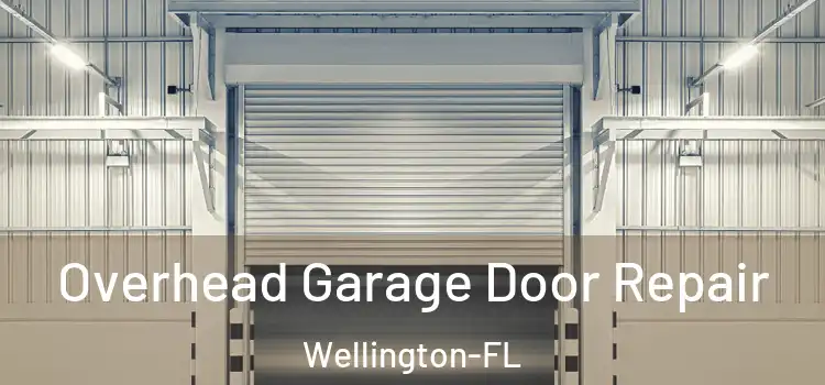  Overhead Garage Door Repair Wellington-FL