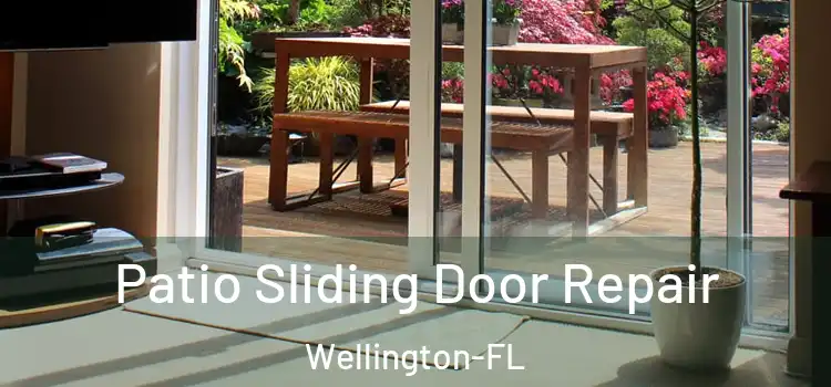  Patio Sliding Door Repair Wellington-FL